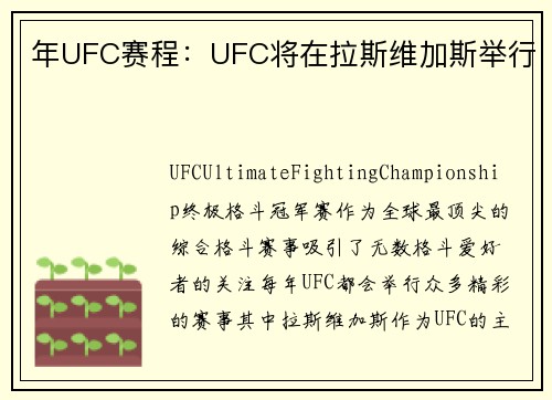 年UFC赛程：UFC将在拉斯维加斯举行