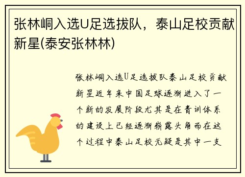 张林峒入选U足选拔队，泰山足校贡献新星(泰安张林林)