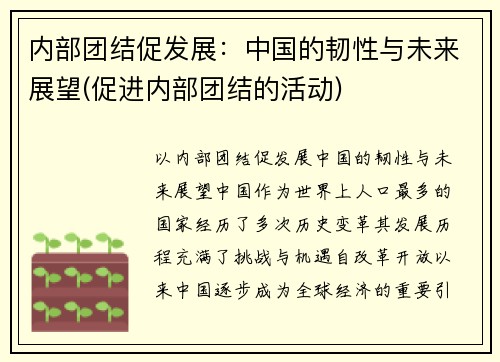内部团结促发展：中国的韧性与未来展望(促进内部团结的活动)